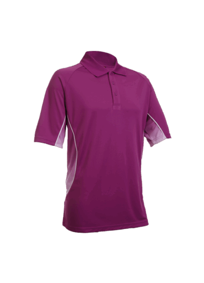 QD Polos QD 3130